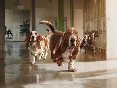 Hush Puppies lanza la campaña “Qué lindo es volver a vernos” y refuerza su compromiso con la educación en Perú