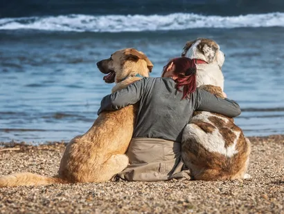Waylluy y Albergue Can Martín promueven una alimentación saludable para las mascotas