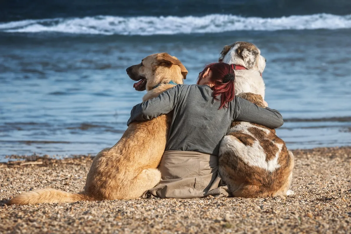 Waylluy y Albergue Can Martín promueven una alimentación saludable para las mascotas