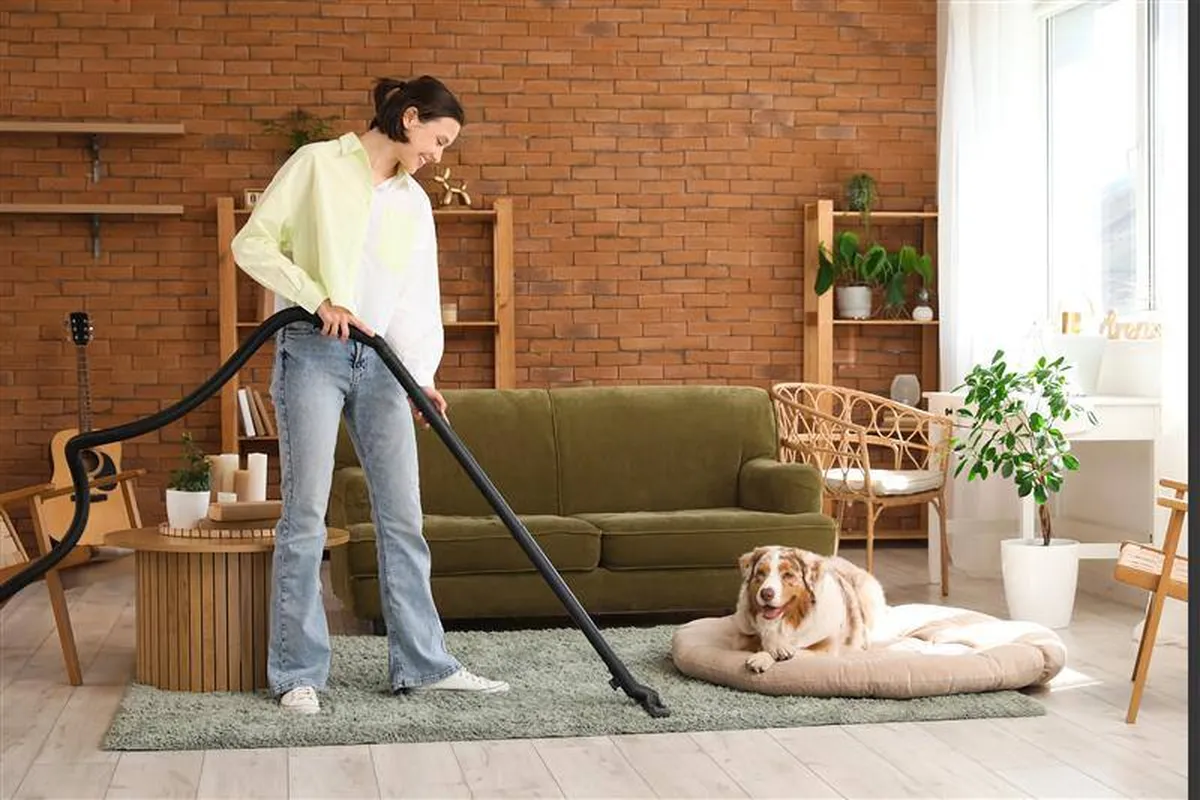 Mascotas en casa: ¿Por qué la limpieza se convierte en parte de la rutina diaria?