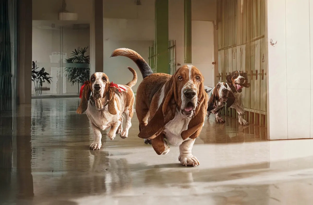 Hush Puppies lanza la campaña “Qué lindo es volver a vernos” y refuerza su compromiso con la educación en Perú
