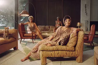 SKIMS se sumerge en el lujo salvaje de Cavalli con una nueva colección cápsula